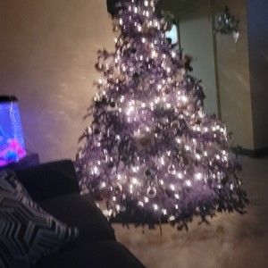 Meet your Posher, Marisol